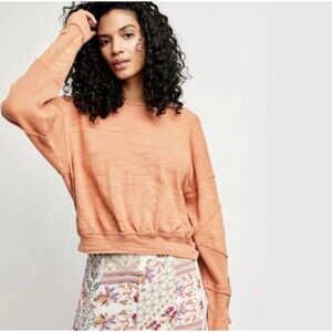 Free People We the Free 5 Star Pullover Sweatshirt Sweet Cinnamon Large L NWT